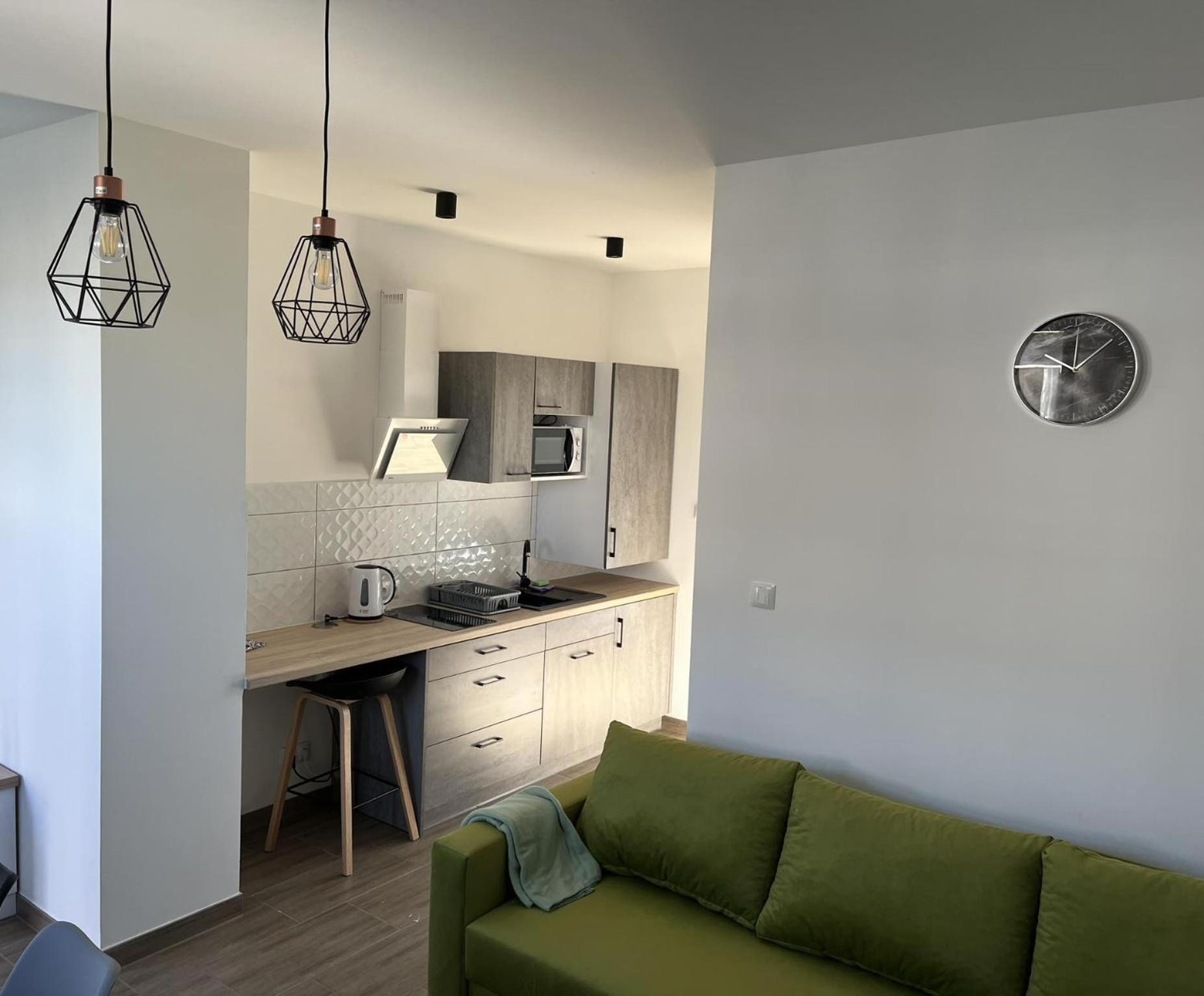 Apartamenty Pod Jodlami Сарбіново Екстер'єр фото